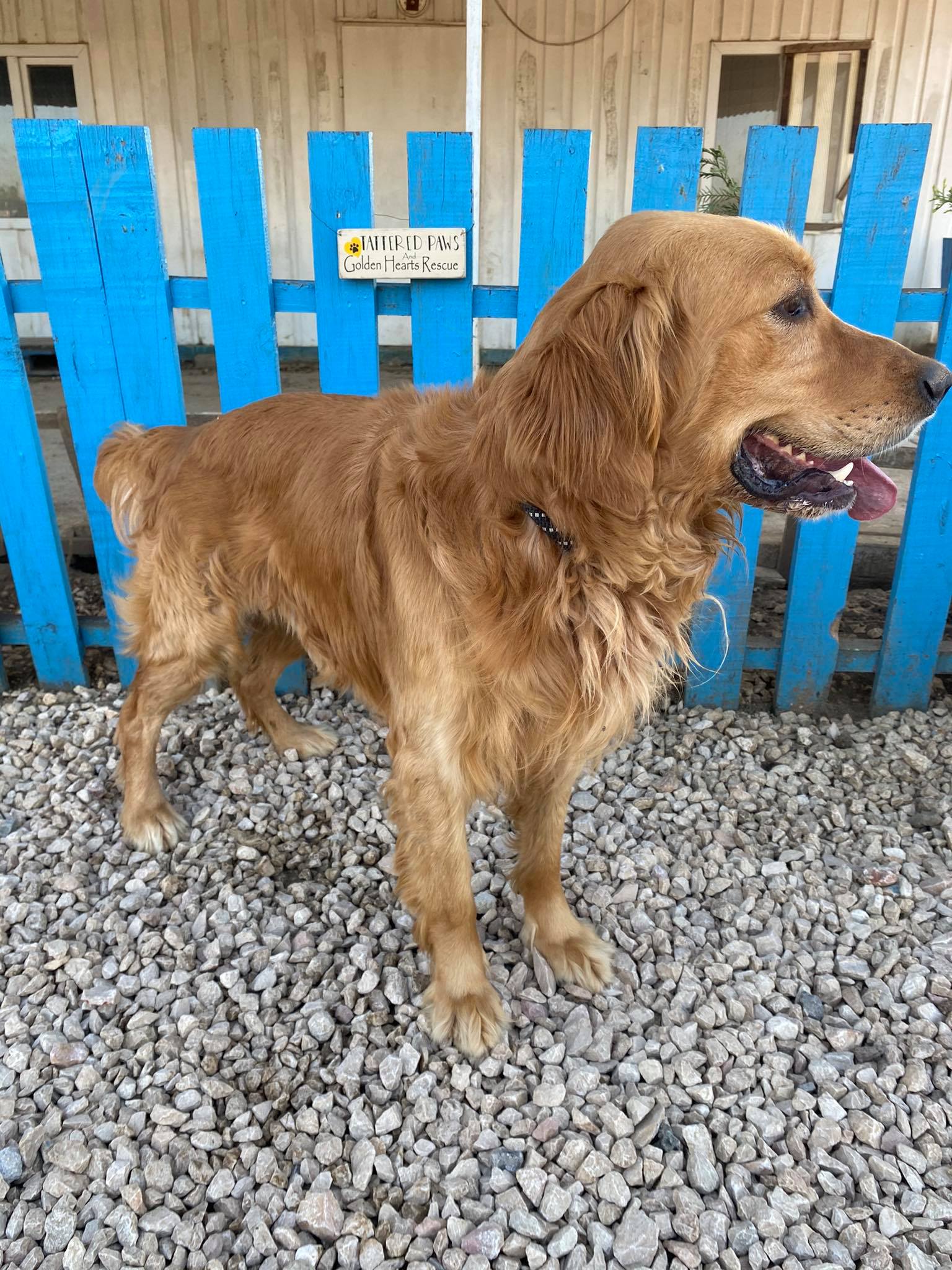 Beau (fka August)  